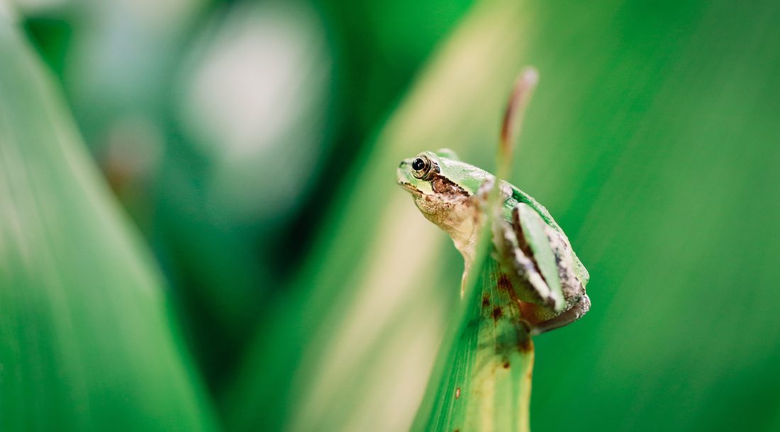 写真：雨の日キャンプ開催内観