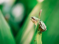 写真：雨の日キャンプ開催内観